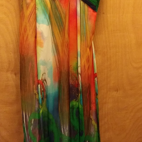 This vibrant dress is looking for it's Princess - Picture 9 of 10
